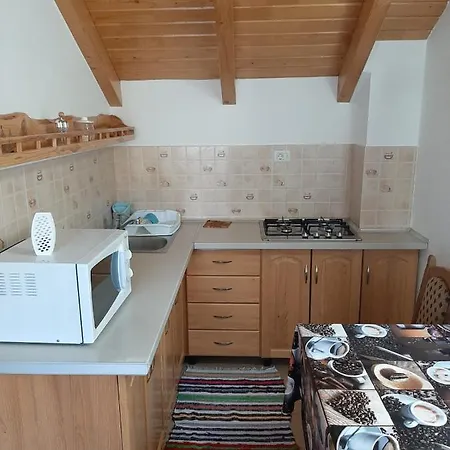 Casuta Pietrosul Rodnei Apartment *